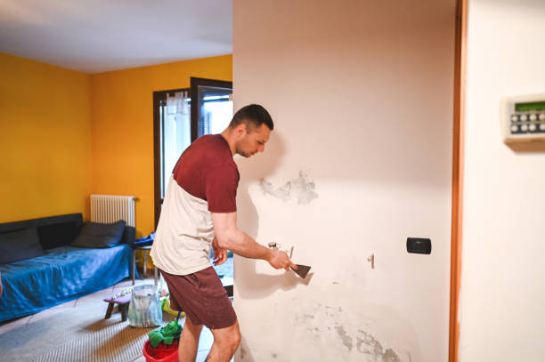 Office Mold Removal Services in Cumberland, KY